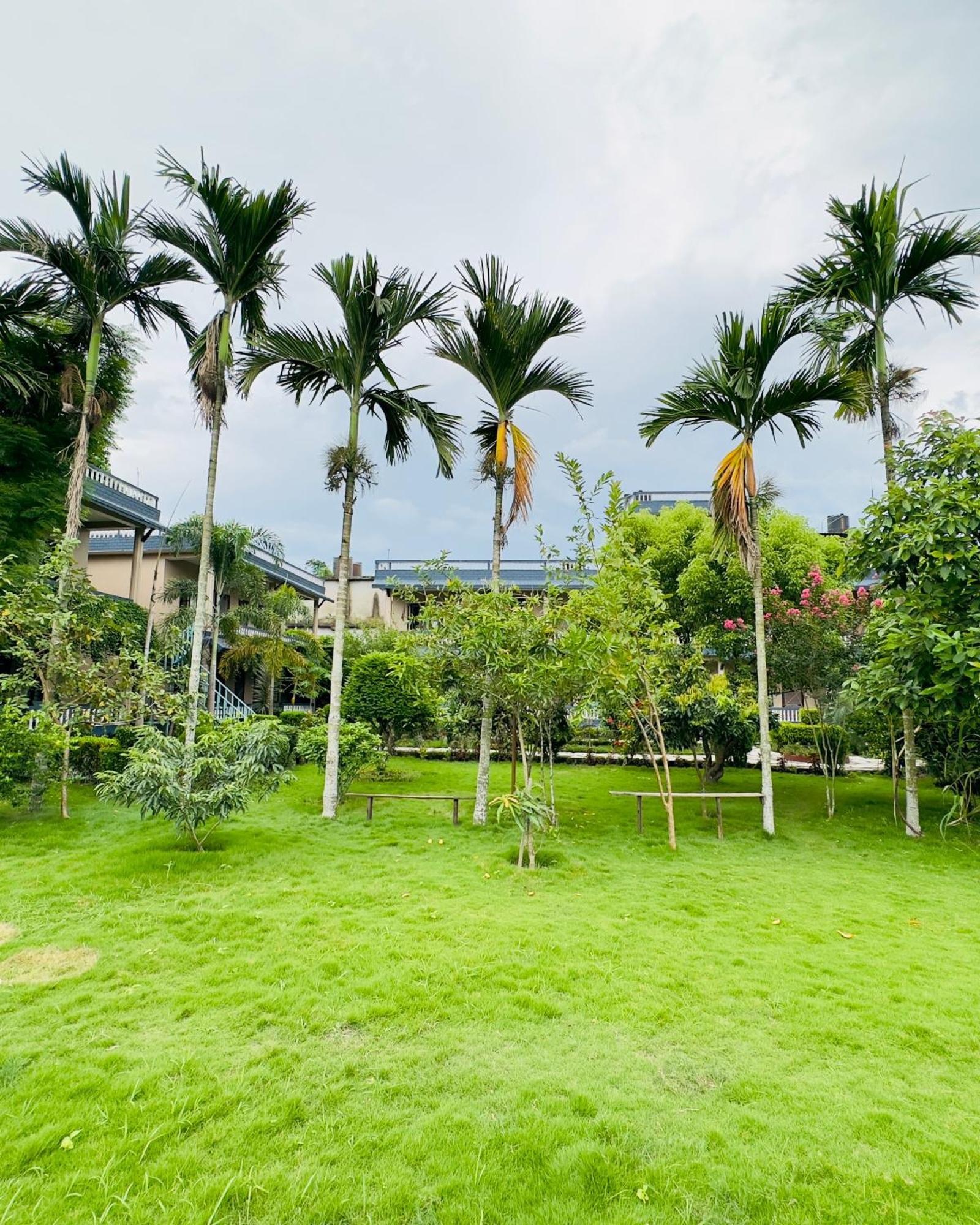 Chitwan Village Resort Sauraha Ngoại thất bức ảnh