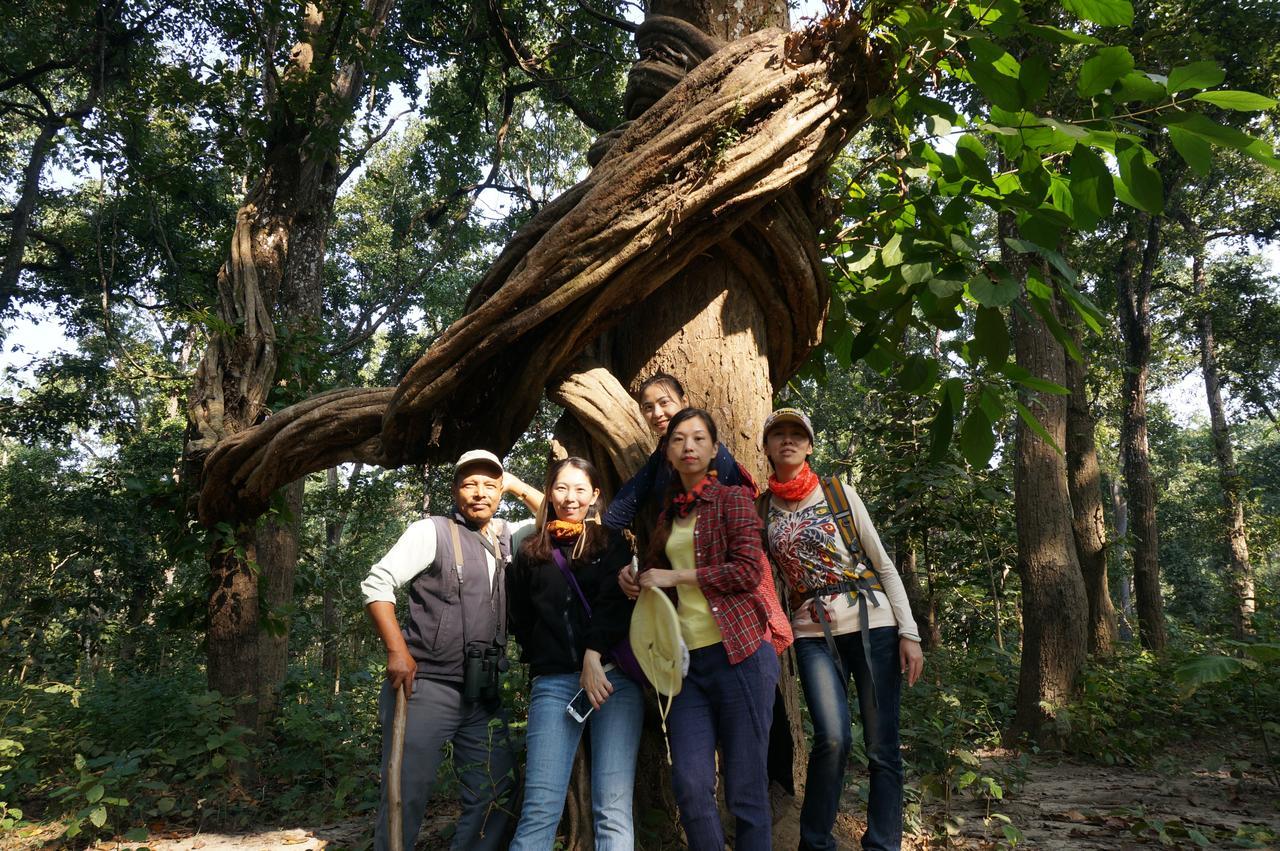 Chitwan Village Resort Sauraha Ngoại thất bức ảnh